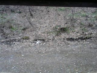 長野県菅平高原 ゆたか山荘 東側(坂下) 2026/04/14 18:00