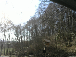 長野県菅平高原 ゆたか山荘 温度計 2026/04/14 07:00