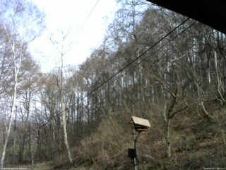 長野県菅平高原 ゆたか山荘 温度計 2026/04/14 15:00