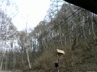 長野県菅平高原 ゆたか山荘 温度計 2026/04/14 15:30