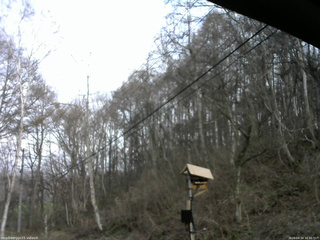 長野県菅平高原 ゆたか山荘 温度計 2026/04/14 16:30