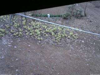 長野県菅平高原 ゆたか山荘 駐車場 2026/04/14 05:15