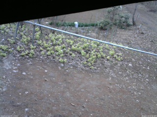 長野県菅平高原 ゆたか山荘 駐車場 2026/04/14 05:30