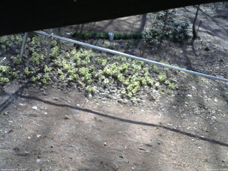 長野県菅平高原 ゆたか山荘 駐車場 2026/04/14 07:45