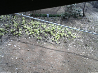 長野県菅平高原 ゆたか山荘 駐車場 2026/04/14 08:00