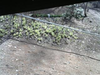 長野県菅平高原 ゆたか山荘 駐車場 2026/04/14 08:15