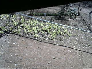 長野県菅平高原 ゆたか山荘 駐車場 2026/04/14 08:45