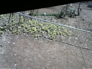 長野県菅平高原 ゆたか山荘 駐車場 2026/04/14 10:00