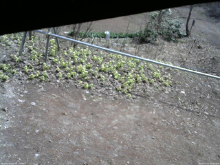 長野県菅平高原 ゆたか山荘 駐車場 2026/04/14 10:30