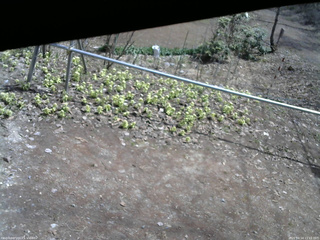 長野県菅平高原 ゆたか山荘 駐車場 2026/04/14 11:15