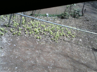 長野県菅平高原 ゆたか山荘 駐車場 2026/04/14 11:30