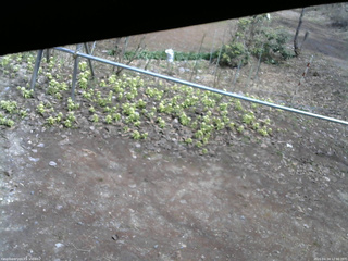 長野県菅平高原 ゆたか山荘 駐車場 2026/04/14 12:30