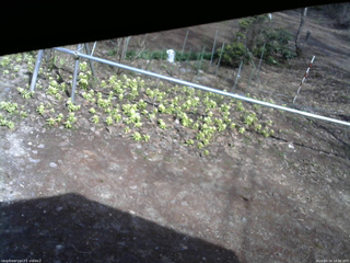 長野県菅平高原 ゆたか山荘 駐車場 2026/04/14 14:30