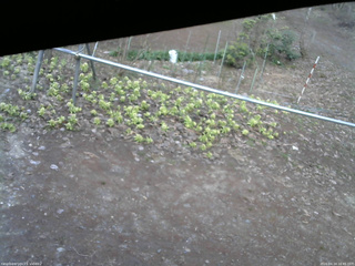 長野県菅平高原 ゆたか山荘 駐車場 2026/04/14 16:45