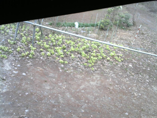 長野県菅平高原 ゆたか山荘 駐車場 2026/04/14 17:30