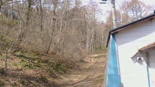 長野県菅平高原 ゆたか山荘 ゆたか山荘 2026/04/14 10:00