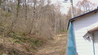 長野県菅平高原 ゆたか山荘 ゆたか山荘 2026/04/14 10:15