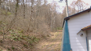 長野県菅平高原 ゆたか山荘 ゆたか山荘 2026/04/14 11:30