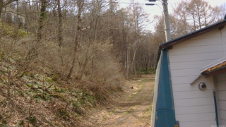 長野県菅平高原 ゆたか山荘 ゆたか山荘 2026/04/14 12:45