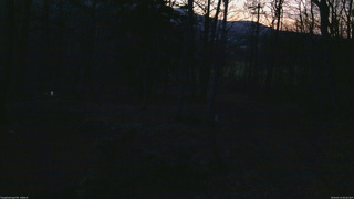 長野県菅平高原 ゆたか山荘 坂上 2026/04/14 05:00