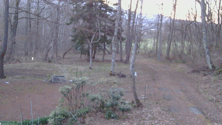 長野県菅平高原 ゆたか山荘 坂上 2026/04/14 05:15