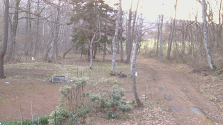 長野県菅平高原 ゆたか山荘 坂上 2026/04/14 05:30