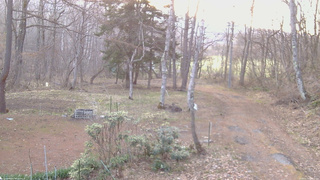 長野県菅平高原 ゆたか山荘 坂上 2026/04/14 05:45