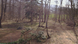 長野県菅平高原 ゆたか山荘 坂上 2026/04/14 08:00