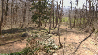 長野県菅平高原 ゆたか山荘 坂上 2026/04/14 08:45