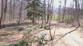 長野県菅平高原 ゆたか山荘 坂上 2026/04/14 09:00