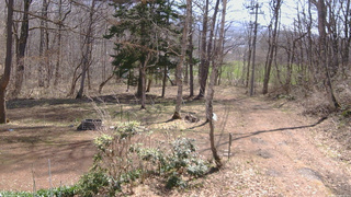 長野県菅平高原 ゆたか山荘 坂上 2026/04/14 09:45