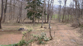 長野県菅平高原 ゆたか山荘 坂上 2026/04/14 10:15