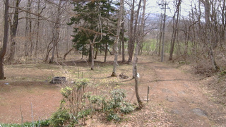 長野県菅平高原 ゆたか山荘 坂上 2026/04/14 10:30