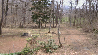 長野県菅平高原 ゆたか山荘 坂上 2026/04/14 10:45