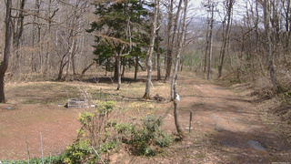 長野県菅平高原 ゆたか山荘 坂上 2026/04/14 12:00