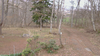 長野県菅平高原 ゆたか山荘 坂上 2026/04/14 13:30