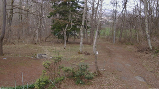 長野県菅平高原 ゆたか山荘 坂上 2026/04/14 13:45