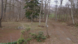 長野県菅平高原 ゆたか山荘 坂上 2026/04/14 14:00