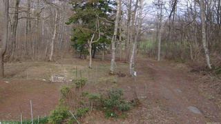 長野県菅平高原 ゆたか山荘 坂上 2026/04/14 16:00