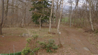 長野県菅平高原 ゆたか山荘 坂上 2026/04/14 17:30