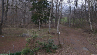 長野県菅平高原 ゆたか山荘 坂上 2026/04/14 17:45