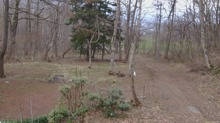 長野県菅平高原 ゆたか山荘 坂上 2026/04/14 18:00