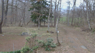 長野県菅平高原 ゆたか山荘 坂上 2026/04/14 18:15