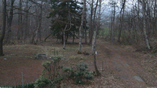 長野県菅平高原 ゆたか山荘 坂上 2026/04/14 18:30