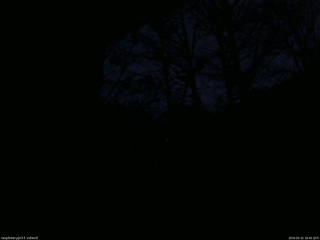 長野県菅平高原 ゆたか山荘 北側 2026/04/15 18:45