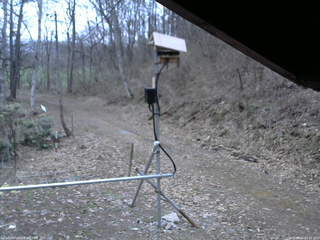 長野県菅平高原 ゆたか山荘 南側 2026/04/15 05:15