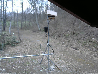 長野県菅平高原 ゆたか山荘 南側 2026/04/15 05:30