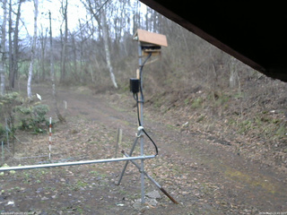 長野県菅平高原 ゆたか山荘 南側 2026/04/15 15:45