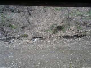 長野県菅平高原 ゆたか山荘 東側(坂下) 2026/04/15 05:45