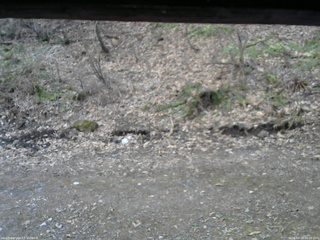 長野県菅平高原 ゆたか山荘 東側(坂下) 2026/04/15 06:00